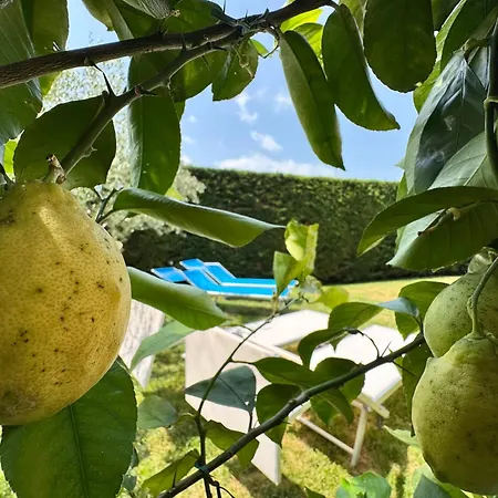Bell'italia Peschiera
